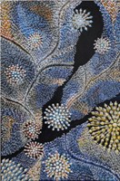 Coral Series
