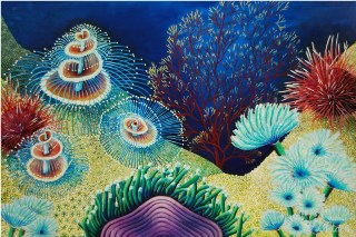 Coral Gardens
