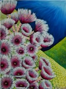 Coral Gardens 3