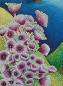 Coral Gardens 2