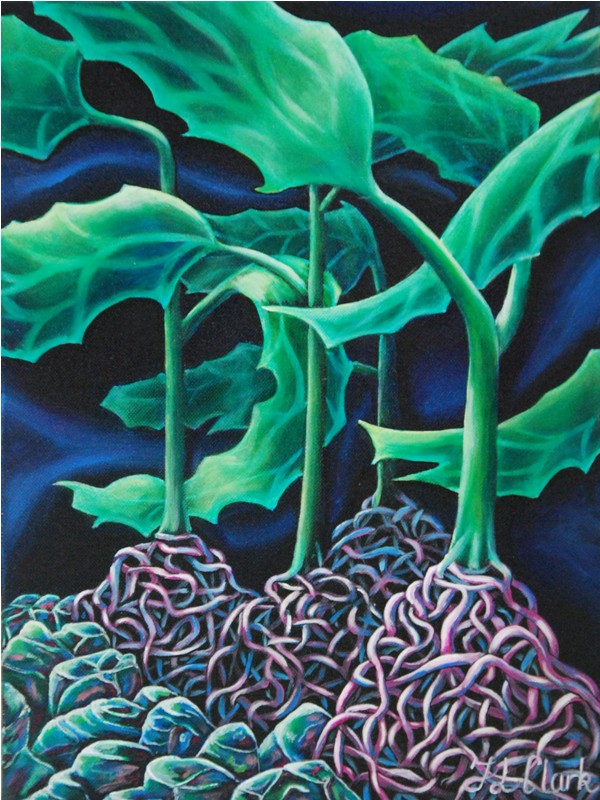 Coral Series - Convergence