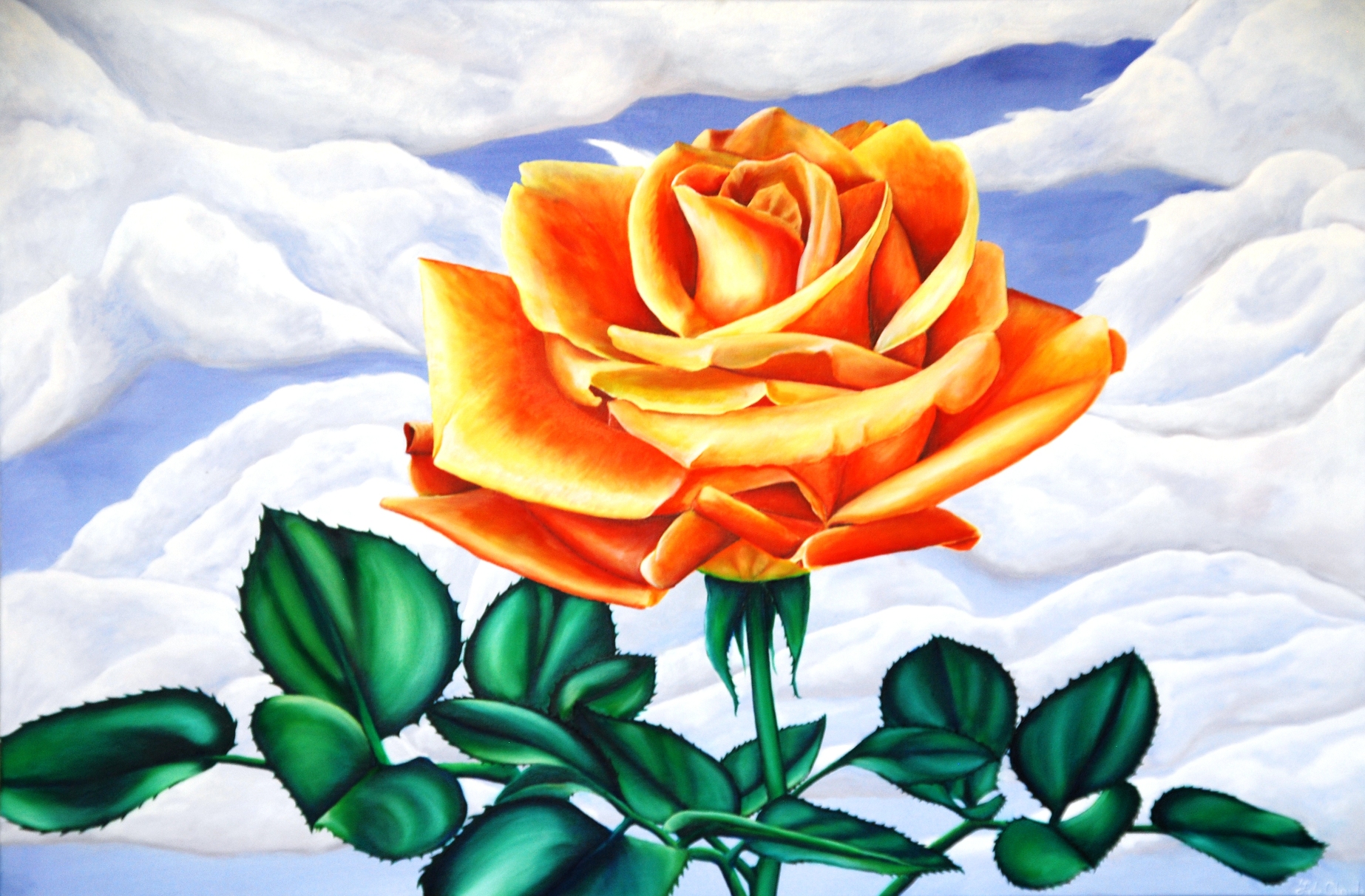 Orange Rose
