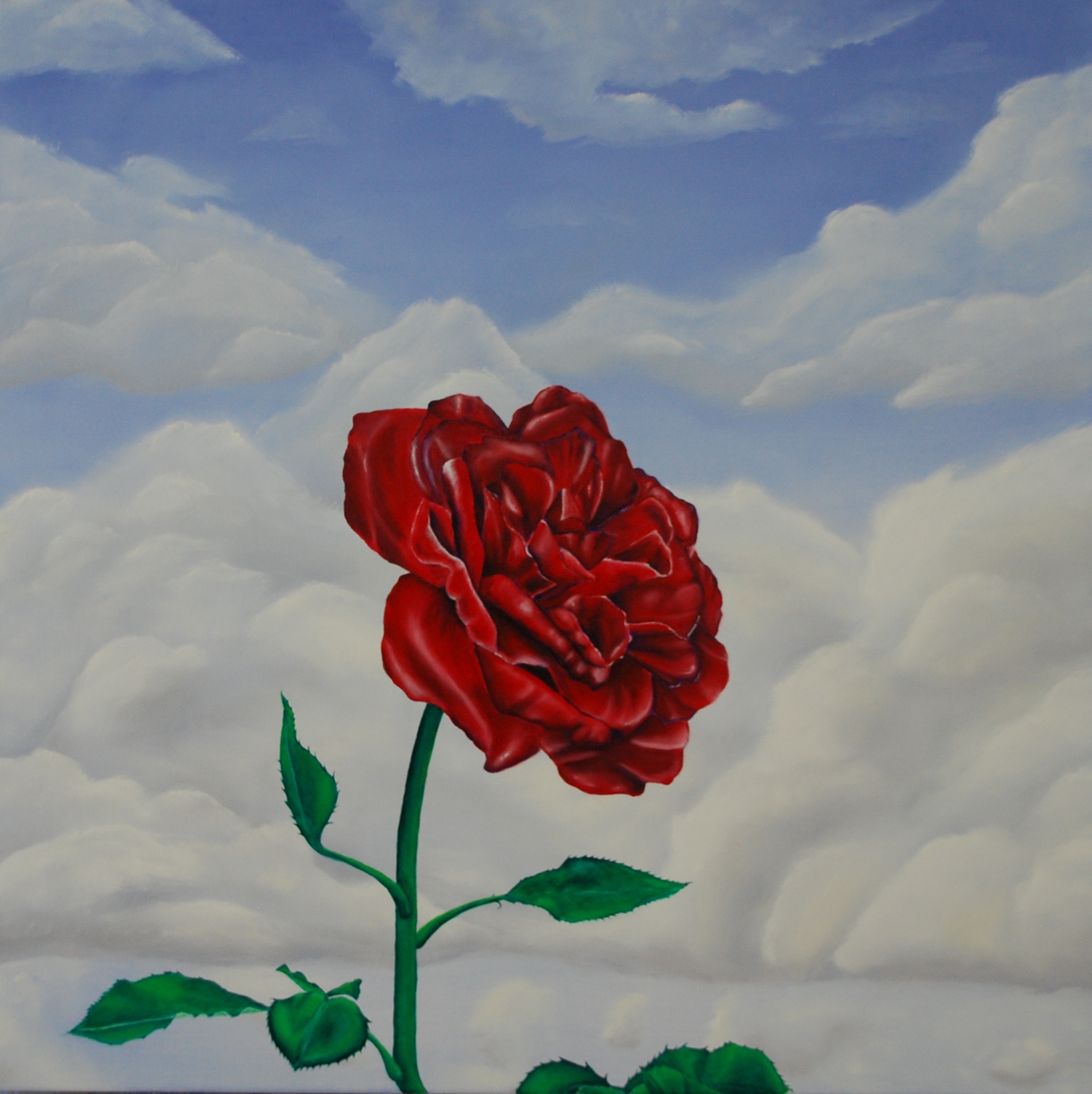 Seduction - Red Rose