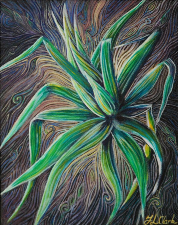 Pandanus 1