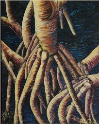 Pandanus3