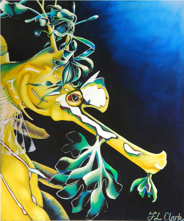 Leafy Sea Dragon - Contemplation