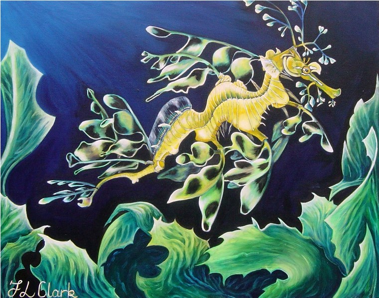 Leafy Sea Dragon - Promenade