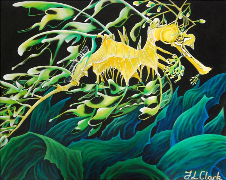 Leafy Sea Dragon - Low Dance