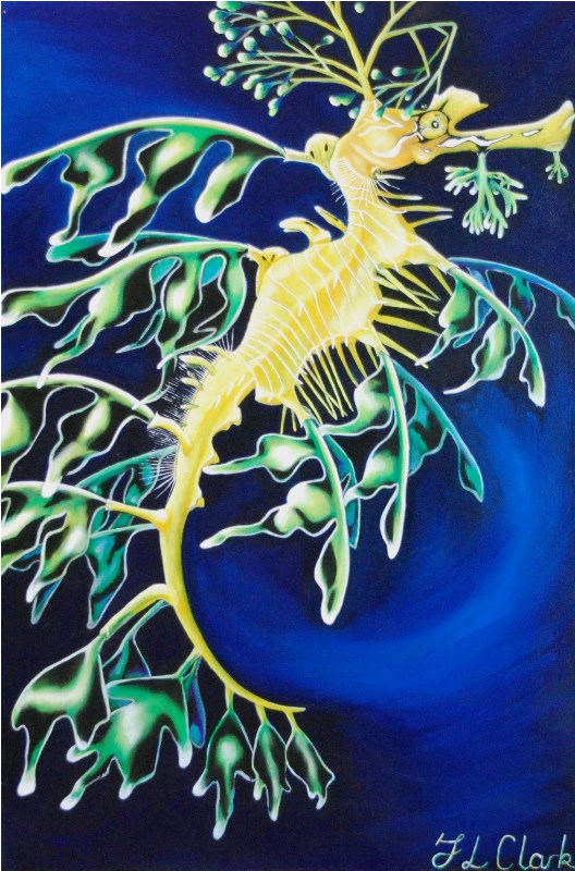 Leafy Sea Dragon - Suspension