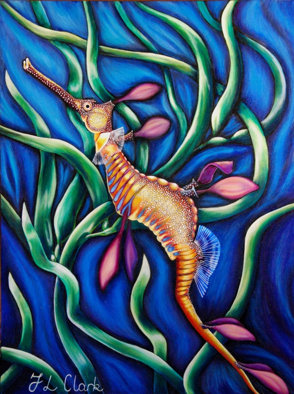 Weedy Sea Dragon - Show Pony